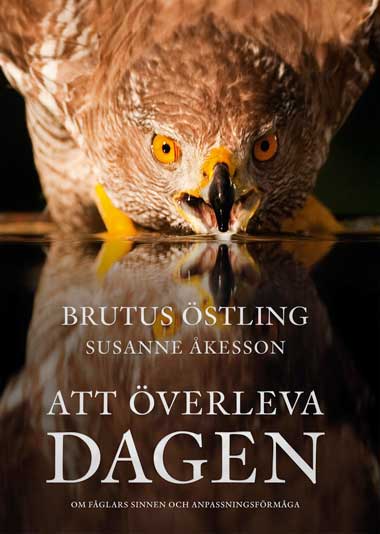 Fotobok nominerad till Augustpriset för bästa fackbok