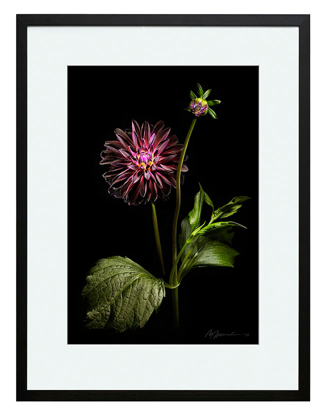 Nils Gunnebro / Galleri Ängel