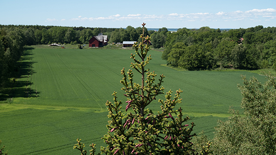 Oklart vad som gäller vid drönarfotografering