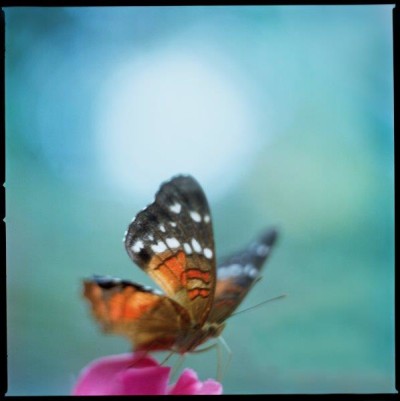 Anna Clarén/ Galleri Final