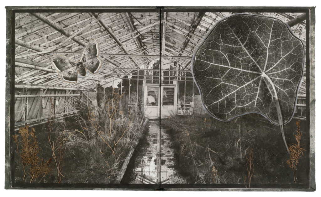 Albin Biblom får årets Sandeng-pris