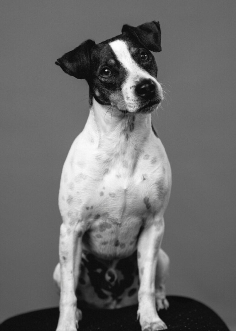 Eddie (tjänstledig)