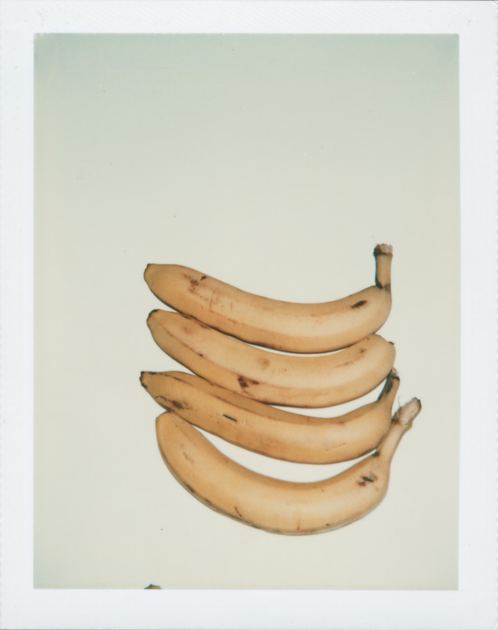 Photo Factory – Fotografier av Andy Warhol