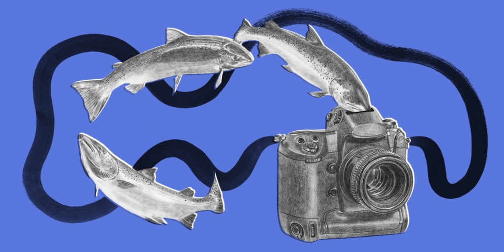 Var med i vår prisundersökning!