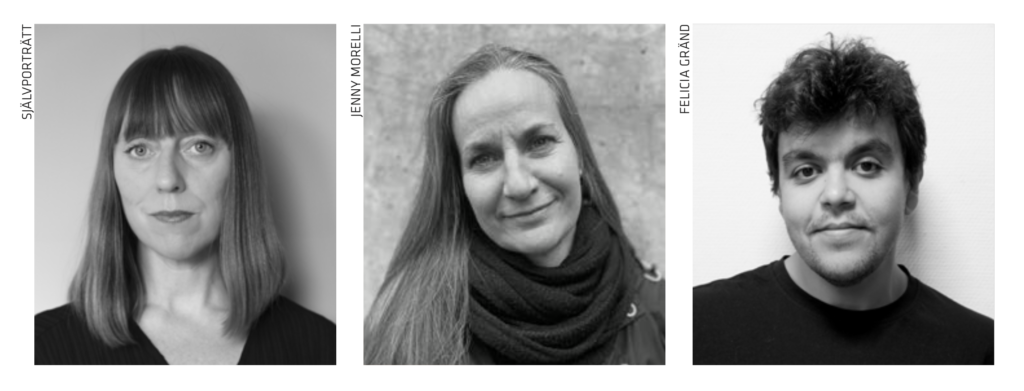 Vilka frågor är mest viktiga för yrket?