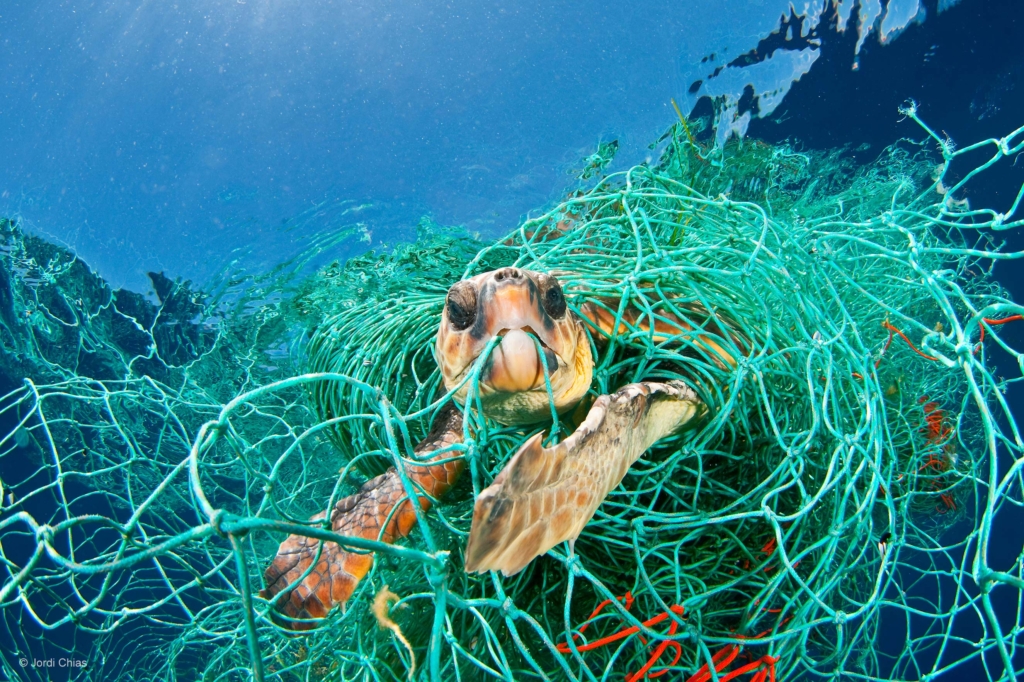 Planet or plastic?