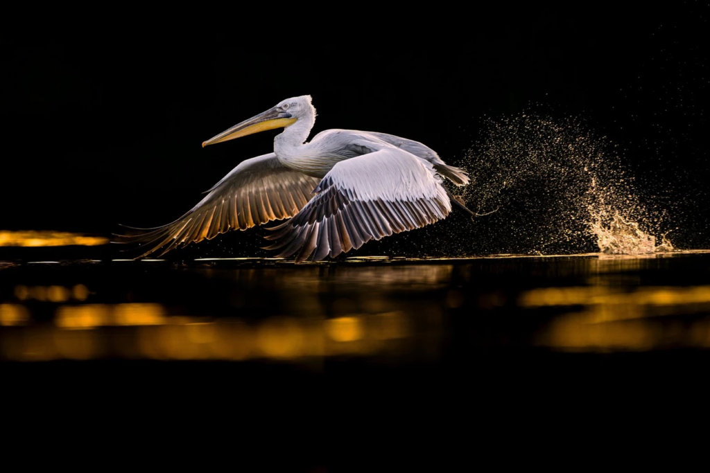 Kreativ återhämtning: Så hittar du tillbaka