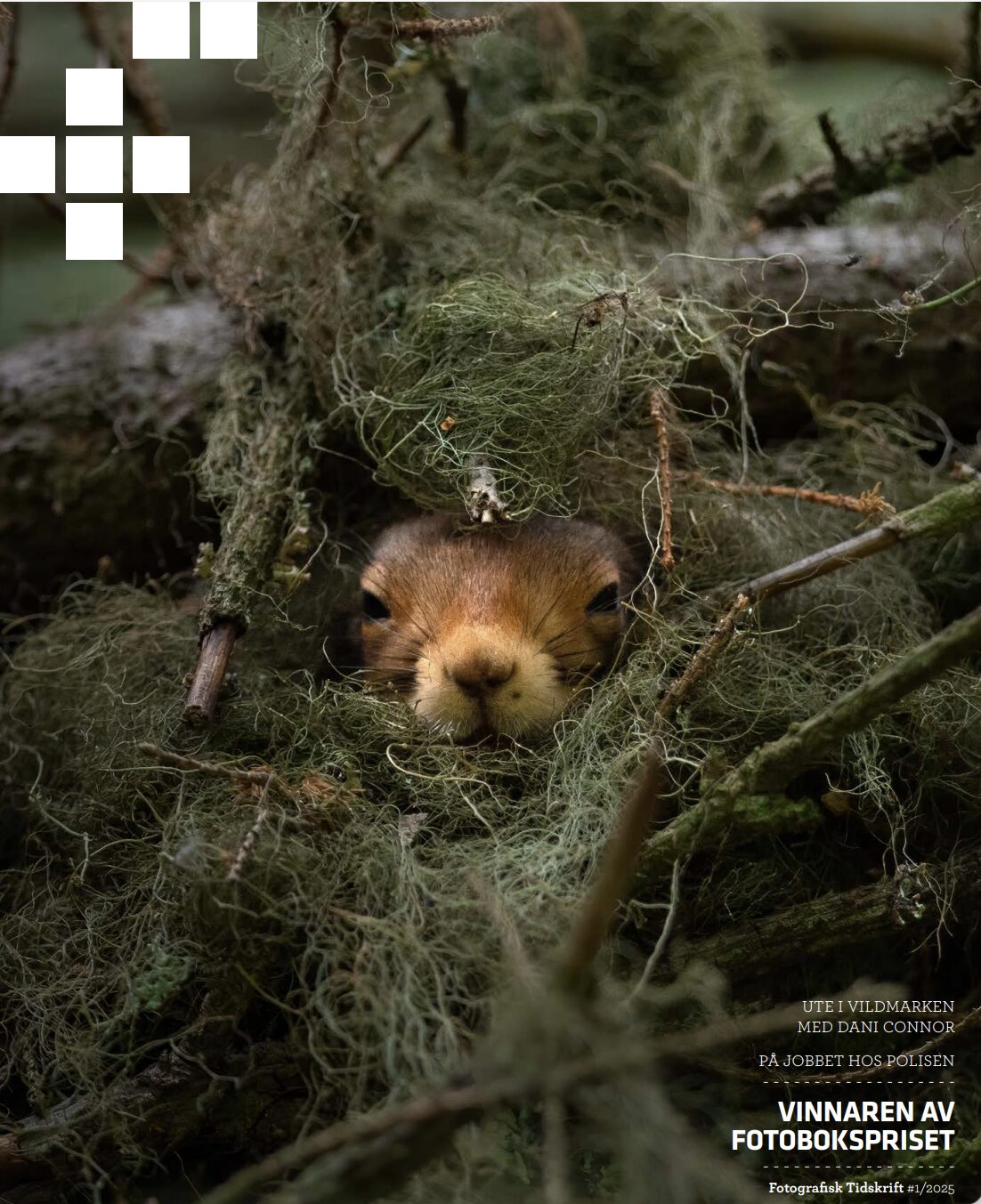 Fotografisk Tidskrift