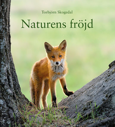 Torbjörn Skogedal: ”Naturens fröjd”