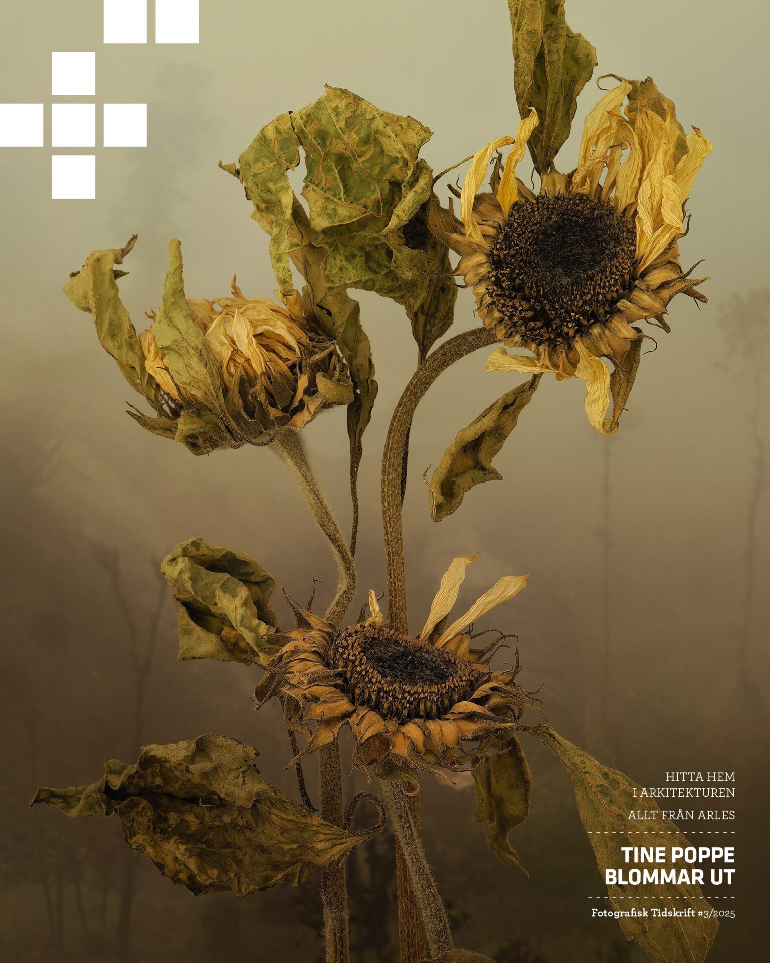 Fotografisk tidskrift