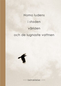 Thomas Malmsborg: ”Däremellan”