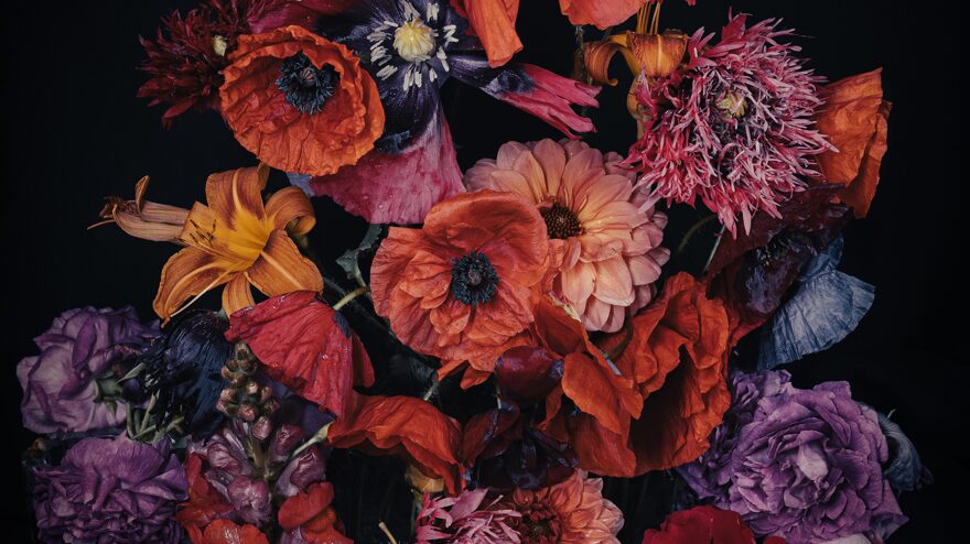 Nina Sinkkonen Kotala