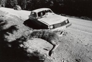 Minnesord Anders Engman (1933-2025)