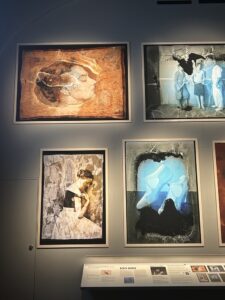 ”Vi behöver ta ett större gemensamt grepp om vårt kulturarv”