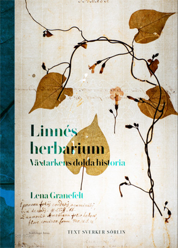 Lena Granefelt: ”Linnés herbarium, Växtarkens dolda historia”