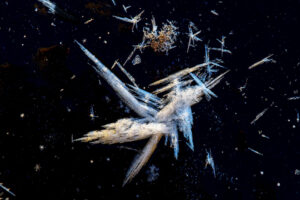 Kansliets öppettider under jul och nyår