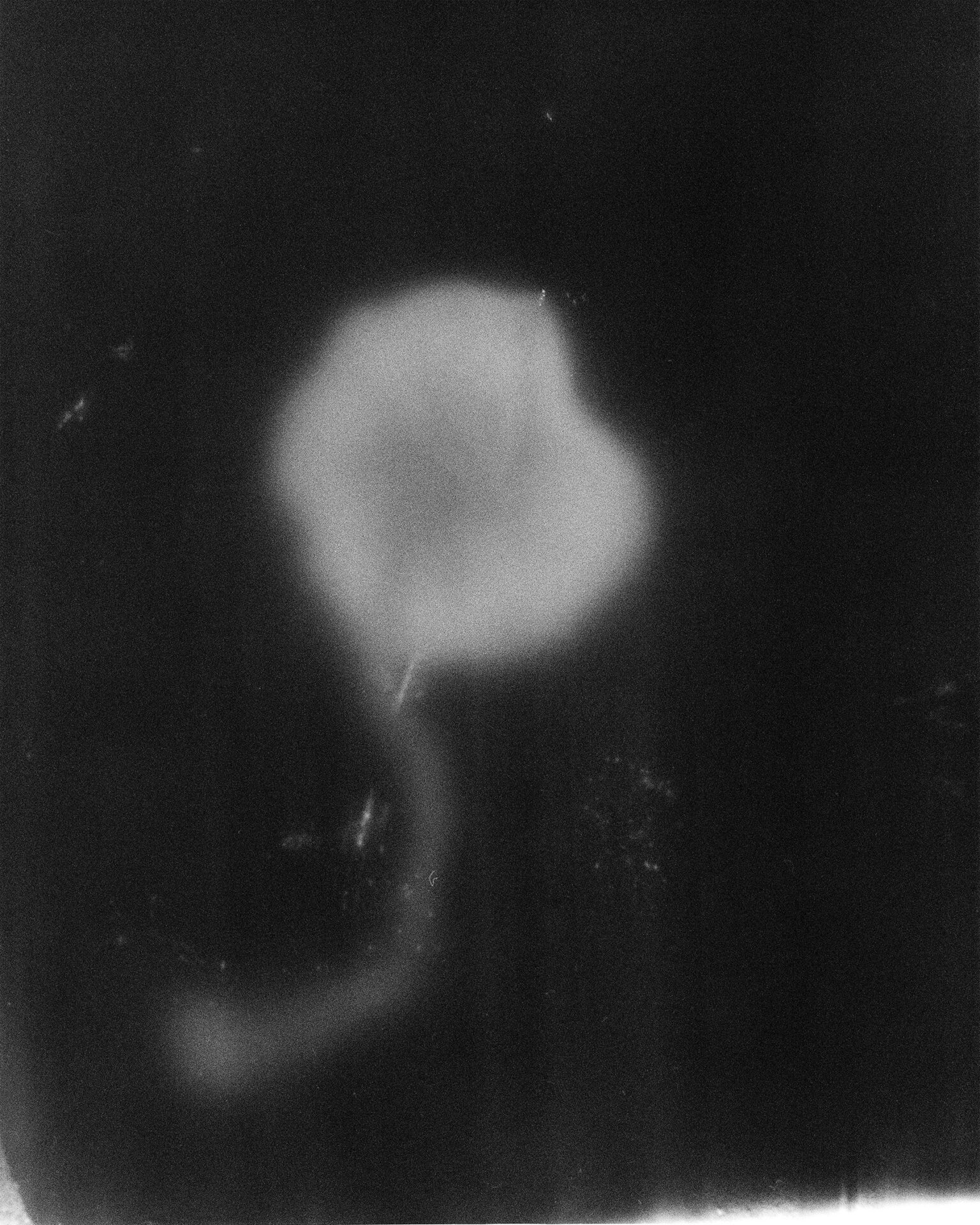 Hagren/Bela & Sara Linderoth