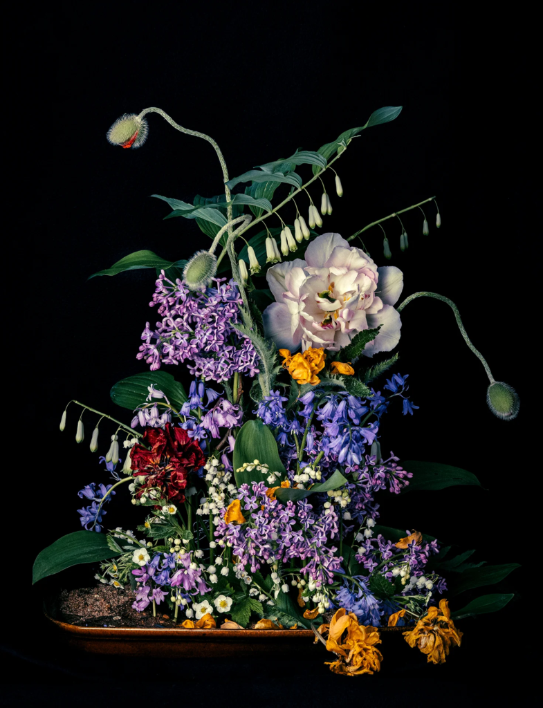 Nina Sinkkonen Kotala