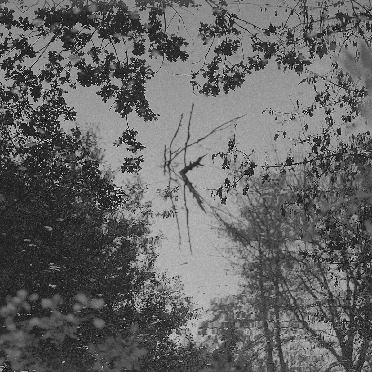 Samtal: Naturens spår – bilder av förändring