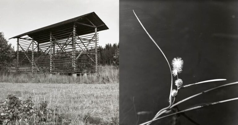 Open call: Fotografiskt residens i Hälsingland