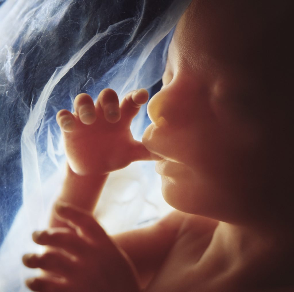 Lennart Nilssons bildskatt öppnas upp