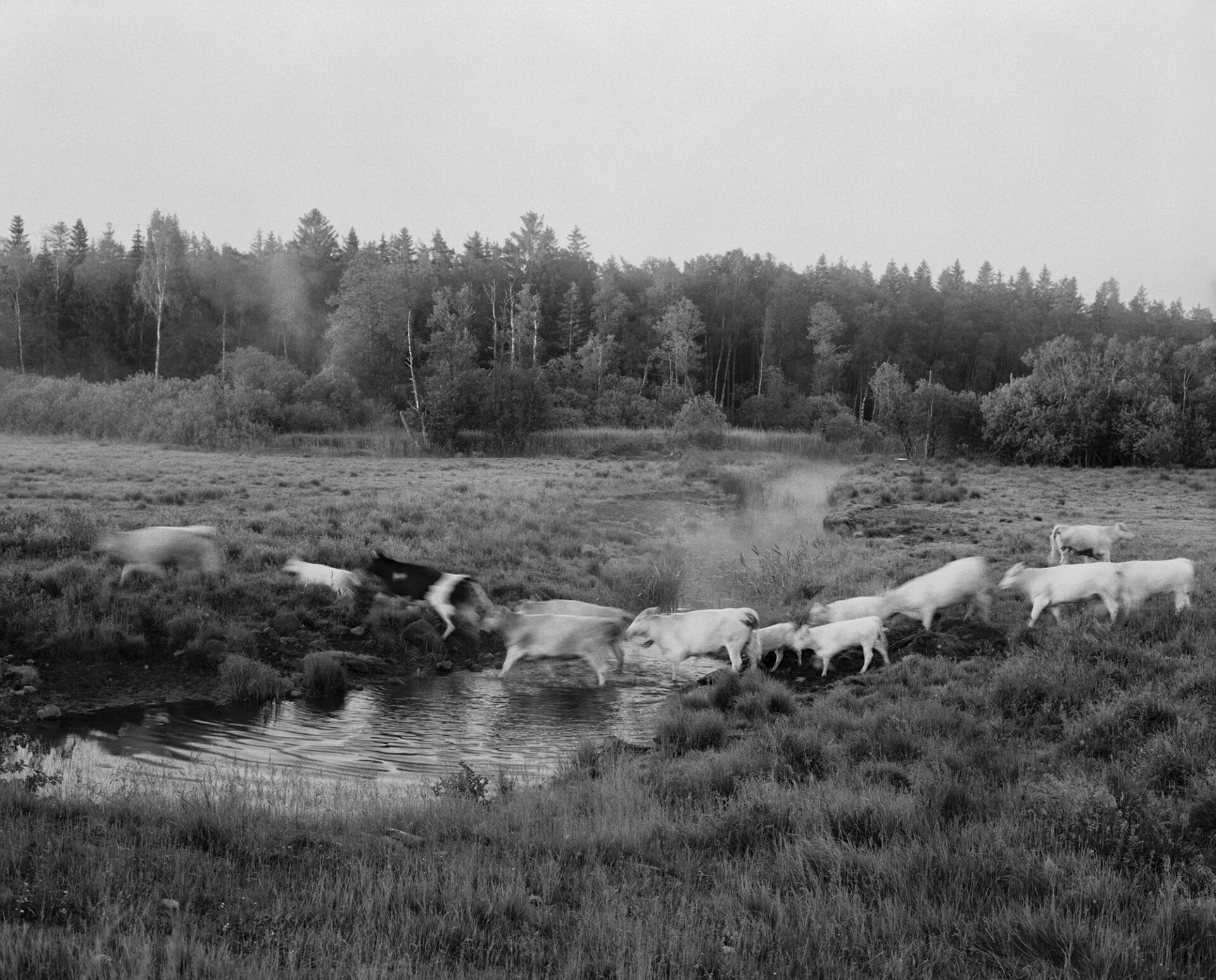 Jan Töve