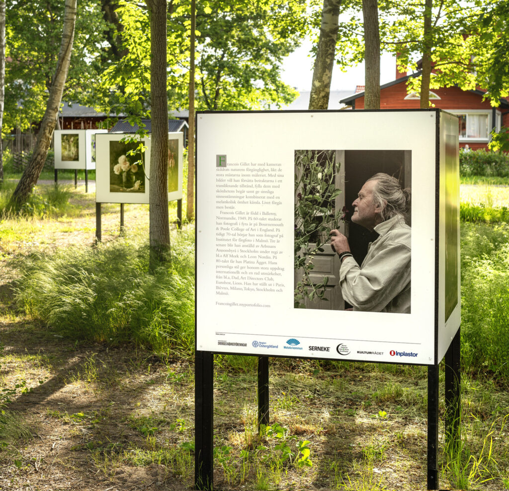 Foto och konst året runt i Ringängsparken