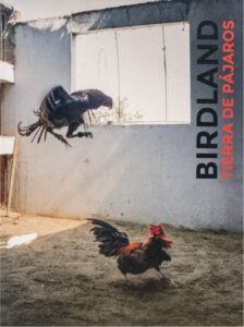 Ricard Estay: ”Birdland/ Tierra de Pájaros”