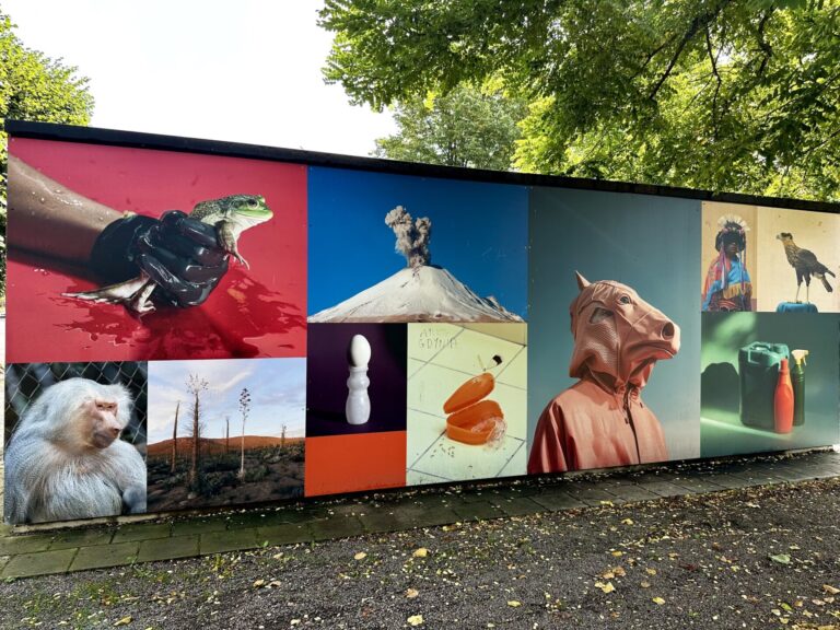 Landskrona Foto – där fotografi möter staden